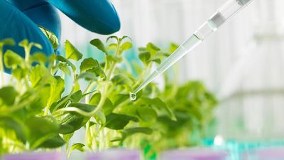 歡迎訪問新綠生物科技有限公司！